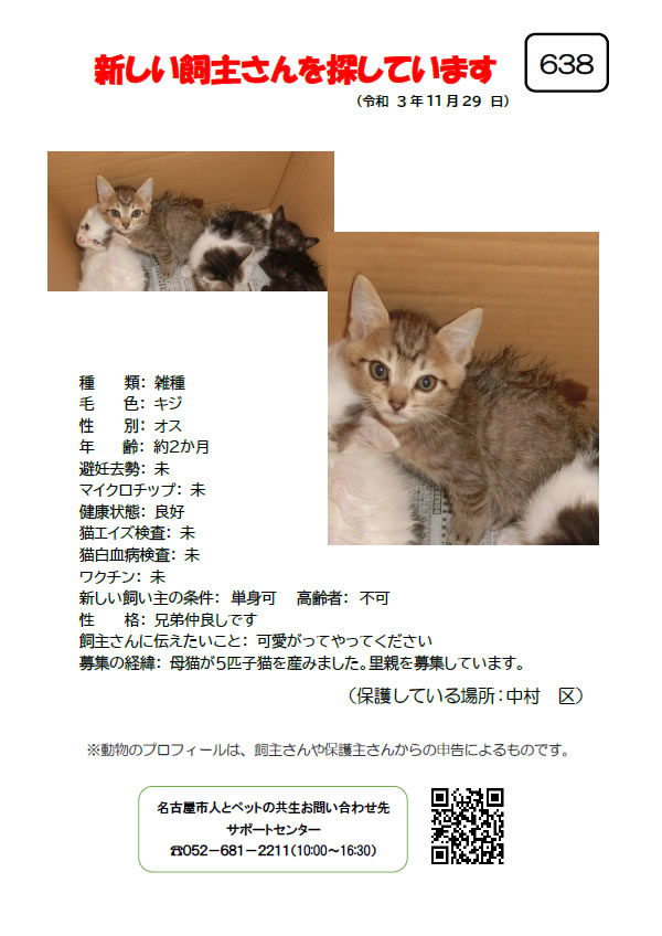 【3】2021年11月29日掲載