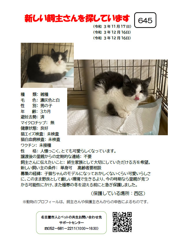 【4】2021年12月3日掲載