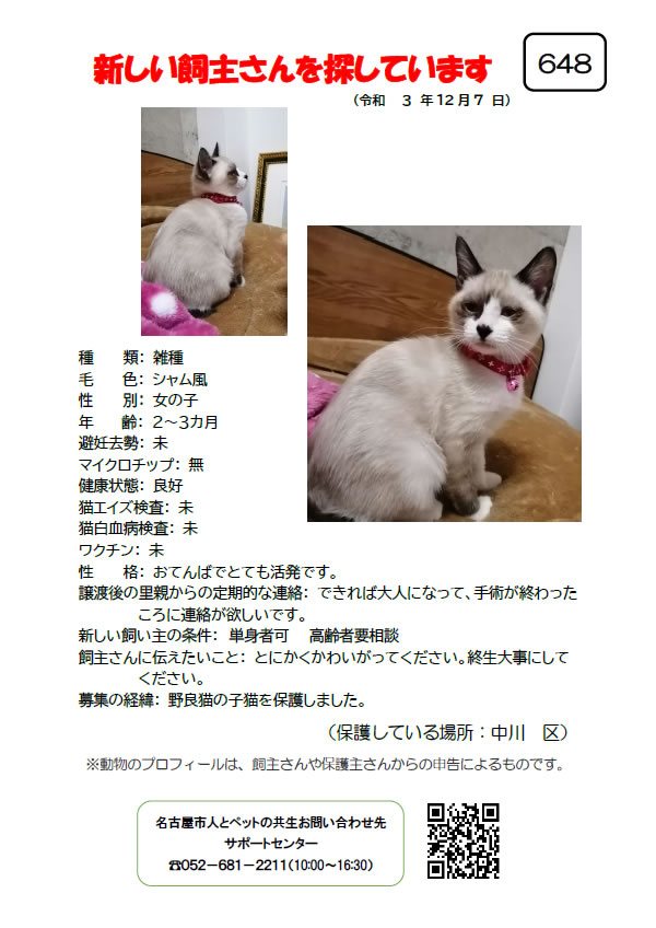 【3】2021年12月7日掲載