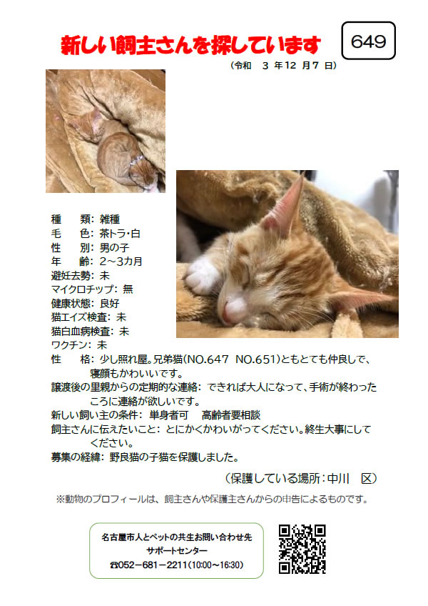 【4】2021年12月7日掲載