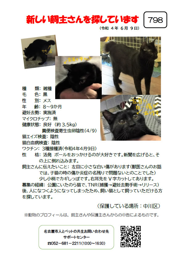 【1】2022年6月9日掲載