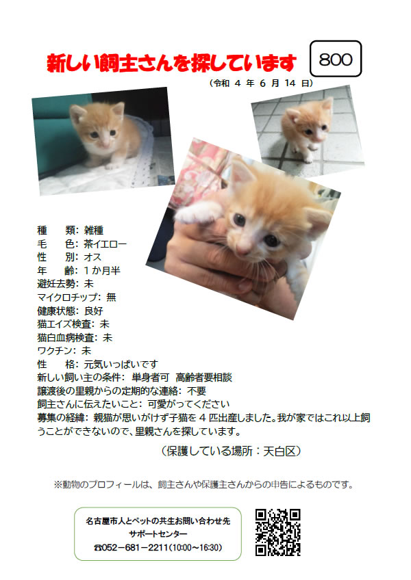 【1】2022年6月14日掲載