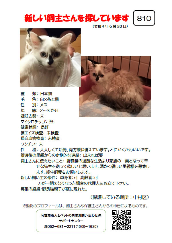 【2】2022年6月20日掲載