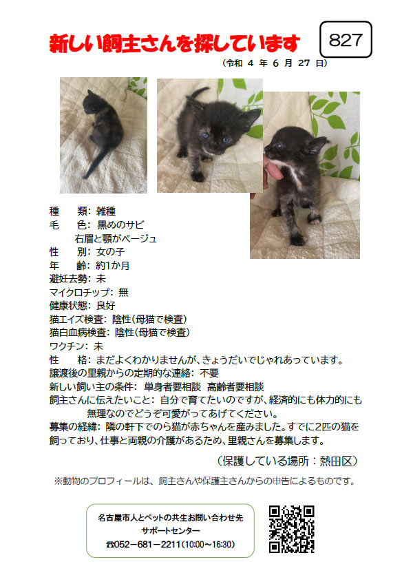 【6】2022年6月27日掲載