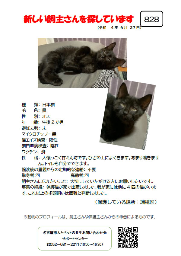 【7】2022年6月27日掲載