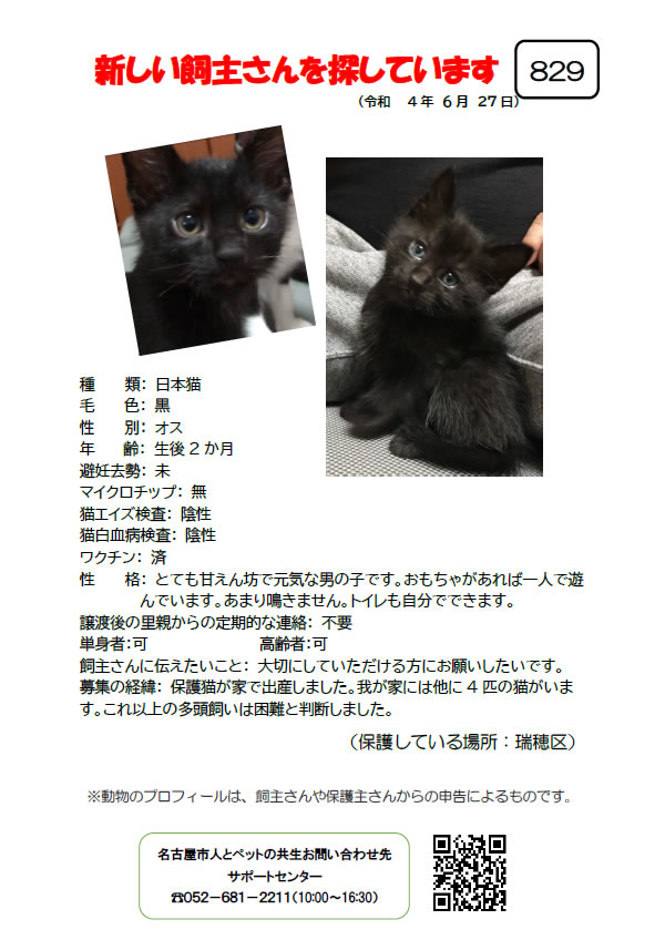 【8】2022年6月27日掲載