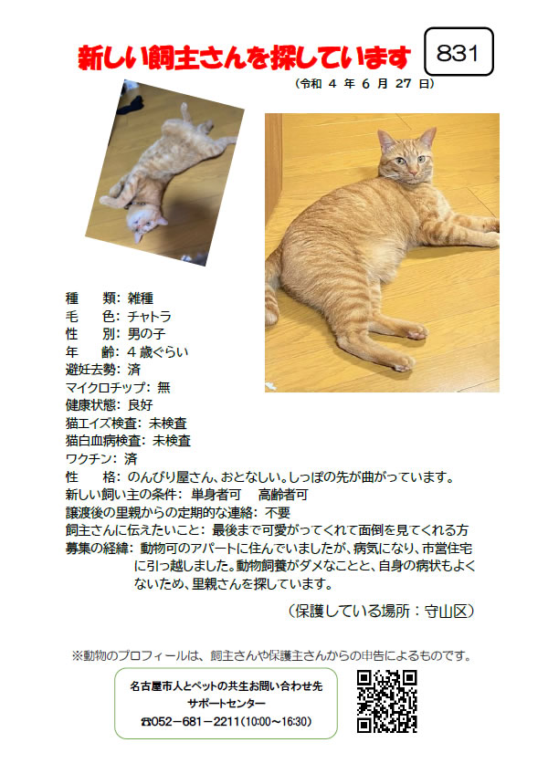 【10】2022年6月27日掲載