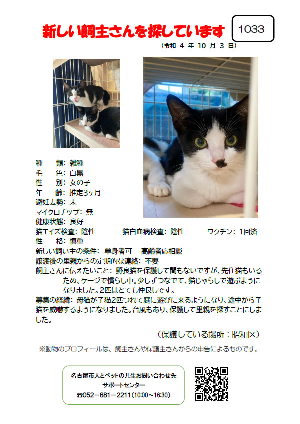 【2】2022年10月3日掲載