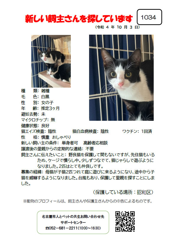 【3】2022年10月3日掲載