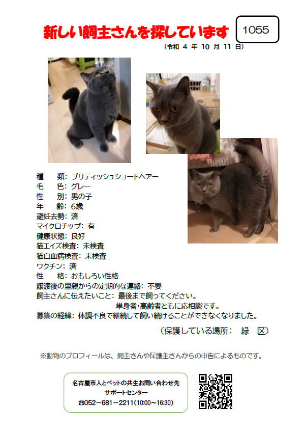 【3】2022年10月11日掲載