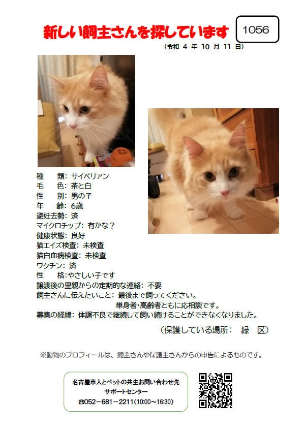 【4】2022年10月11日掲載