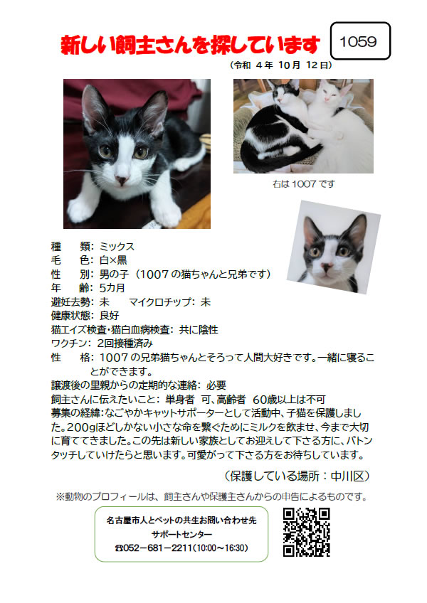 【2】2022年10月12日掲載