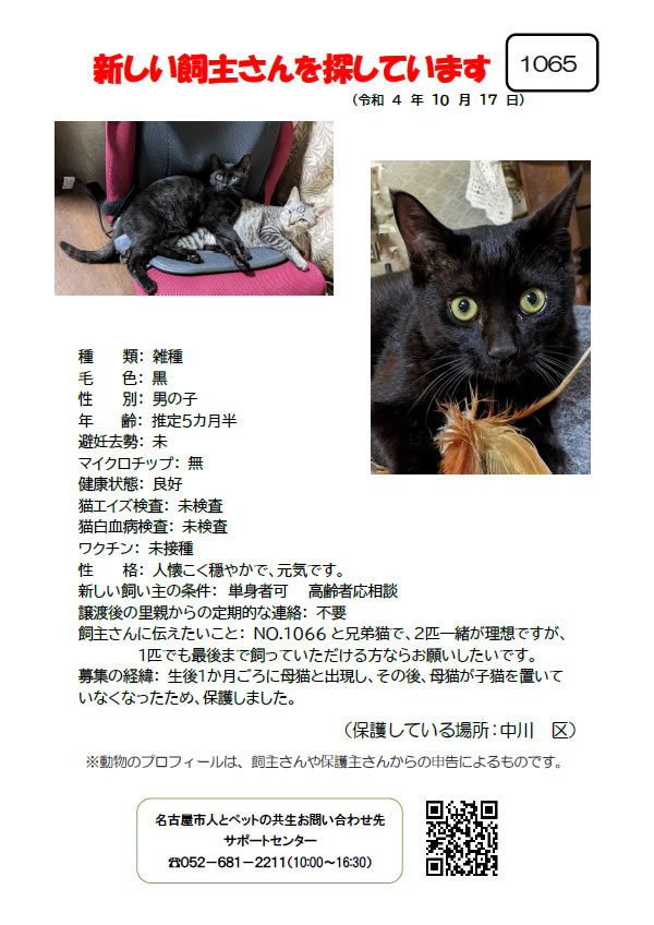 【1】2022年10月17日掲載