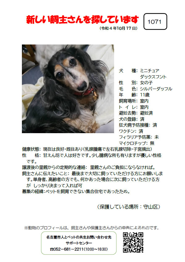 【7】2022年10月17日掲載