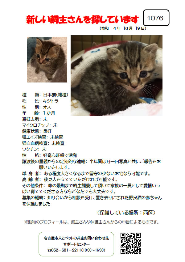 【1】2022年10月19日掲載