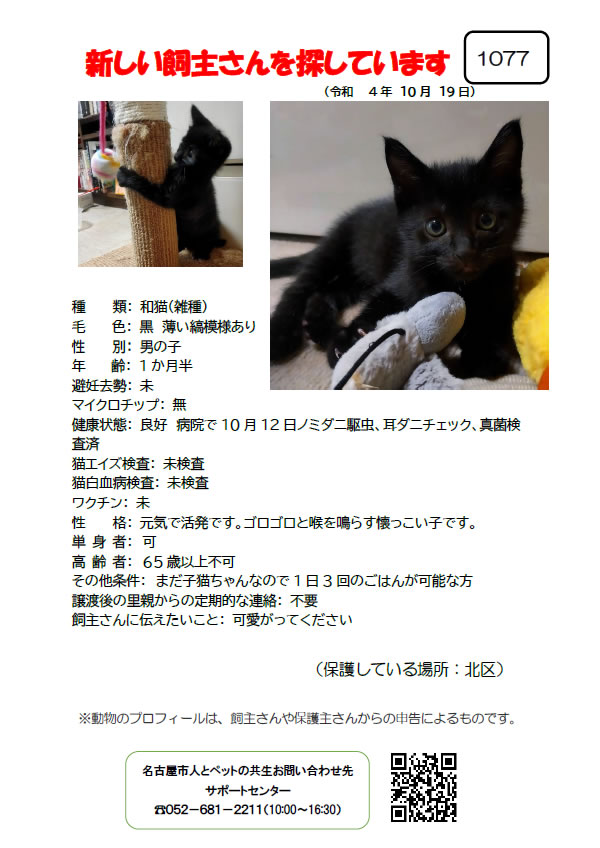 【2】2022年10月19日掲載