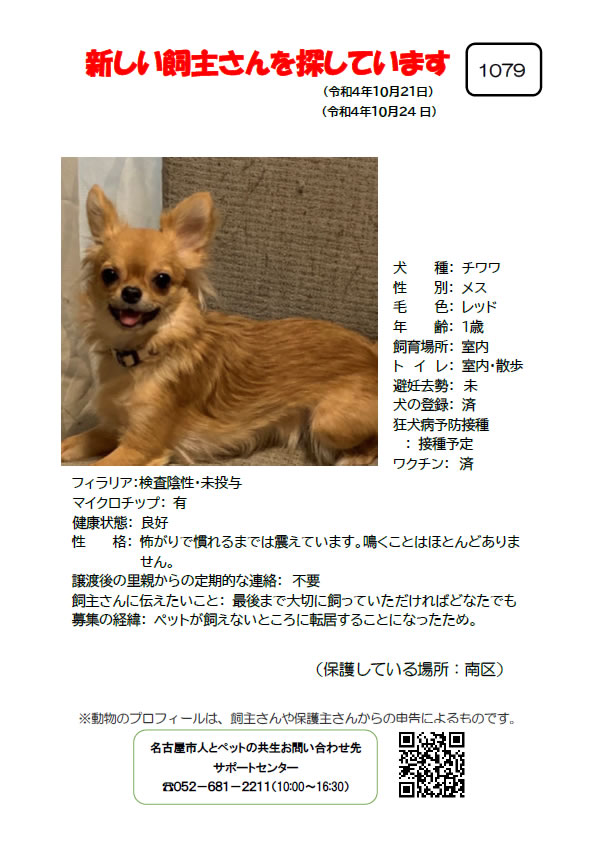 【3】2022年10月21日掲載