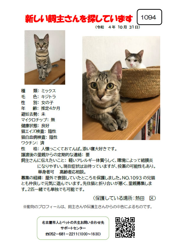 【2】2022年10月31日掲載