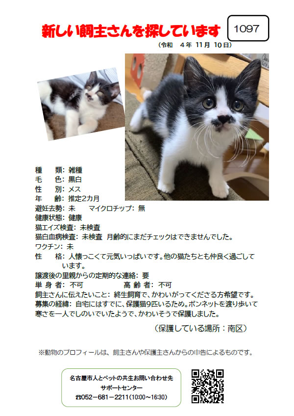 【1】2022年11月10日掲載