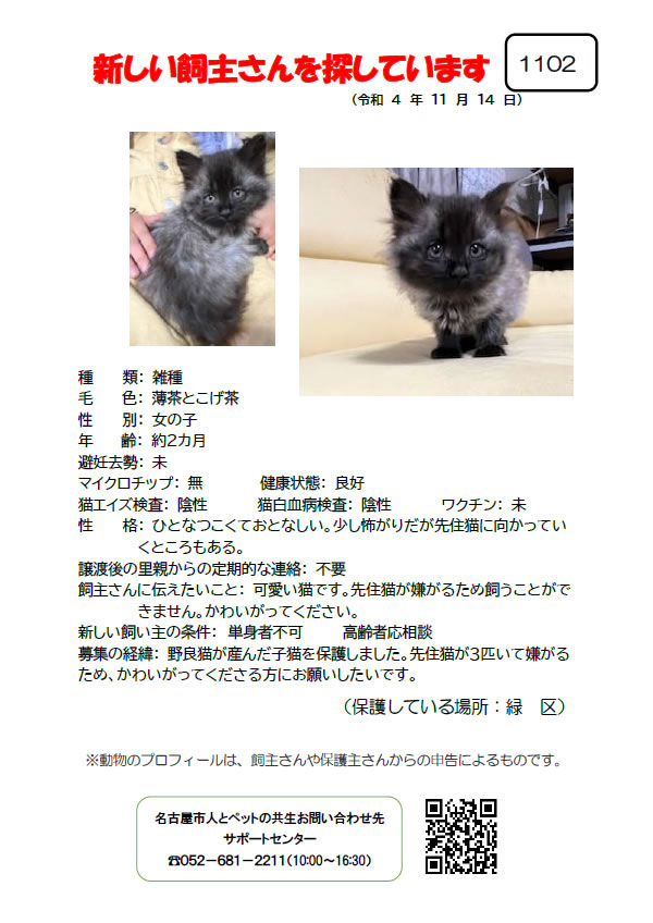 【2】2022年11月14日掲載