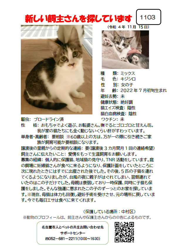 【1】2022年11月15日掲載