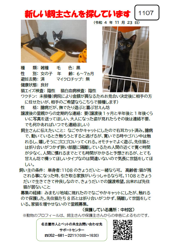 【1】2022年11月23日掲載