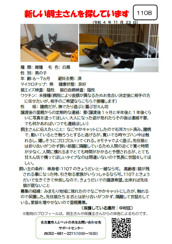 【2】2022年11月23日掲載