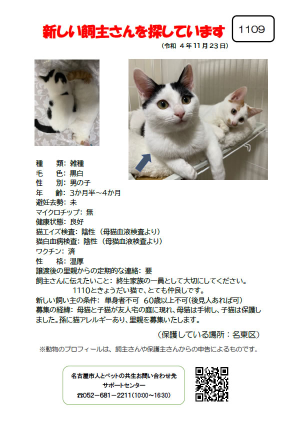 【3】2022年11月23日掲載