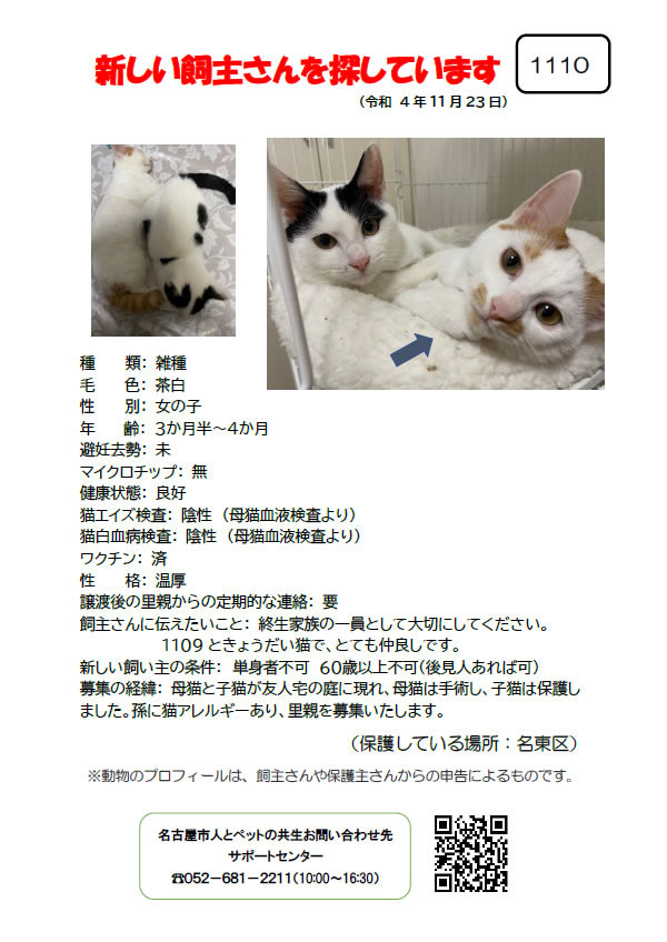 【4】2022年11月23日掲載