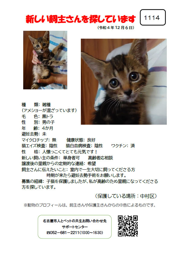 【1】2022年12月6日掲載