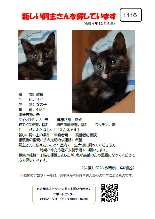 【3】2022年12月6日掲載