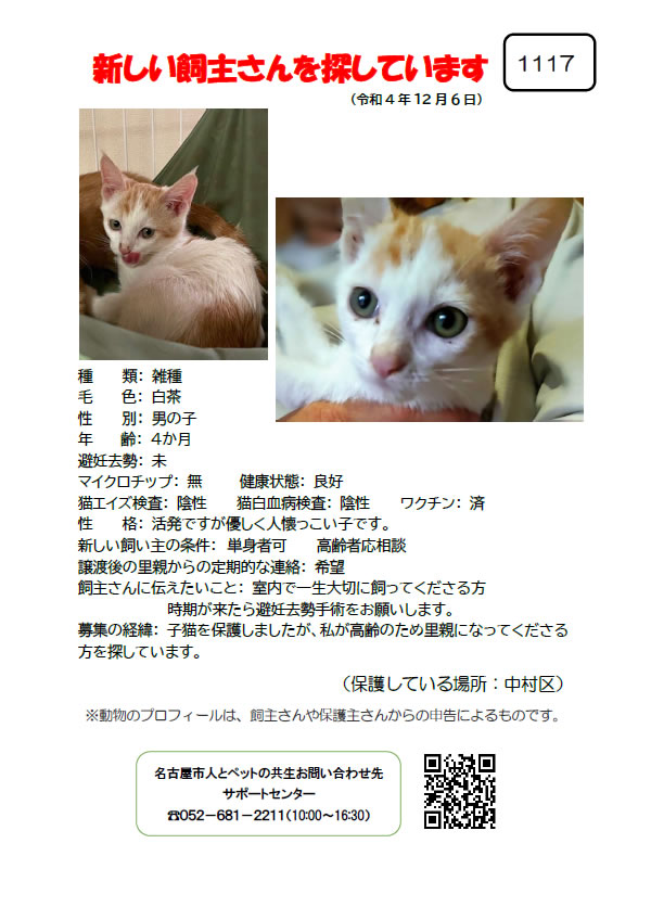 【4】2022年12月6日掲載