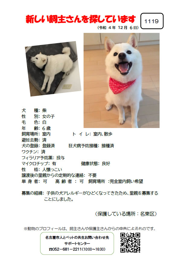 【6】2022年12月6日掲載