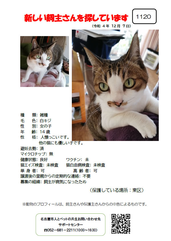 【1】2022年12月8日掲載