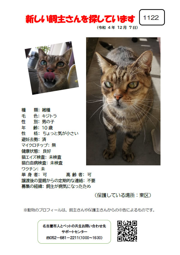 【3】2022年12月8日掲載