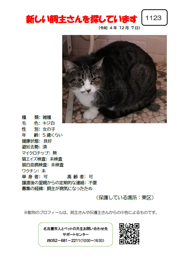 【4】2022年12月8日掲載