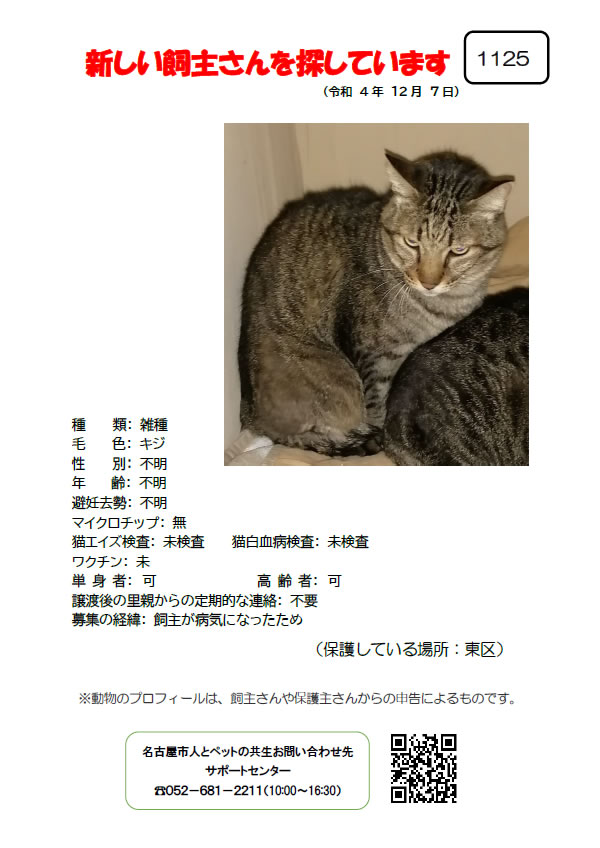 【6】2022年12月8日掲載