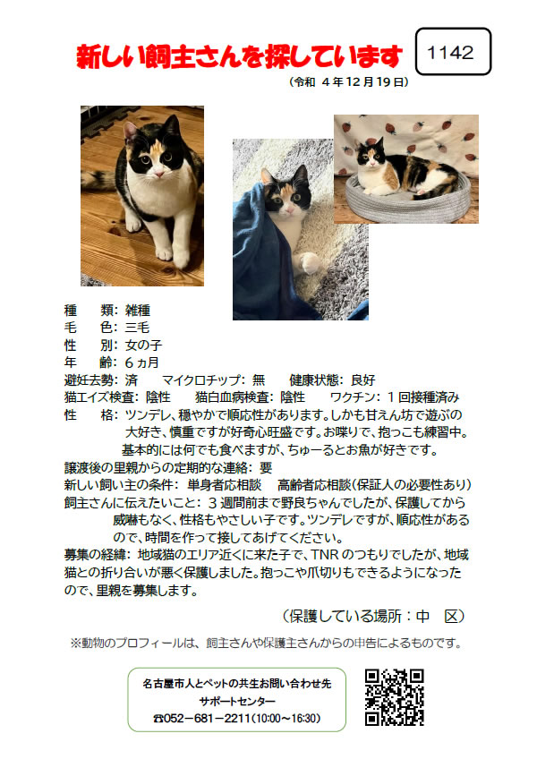 【9】2022年12月19日掲載