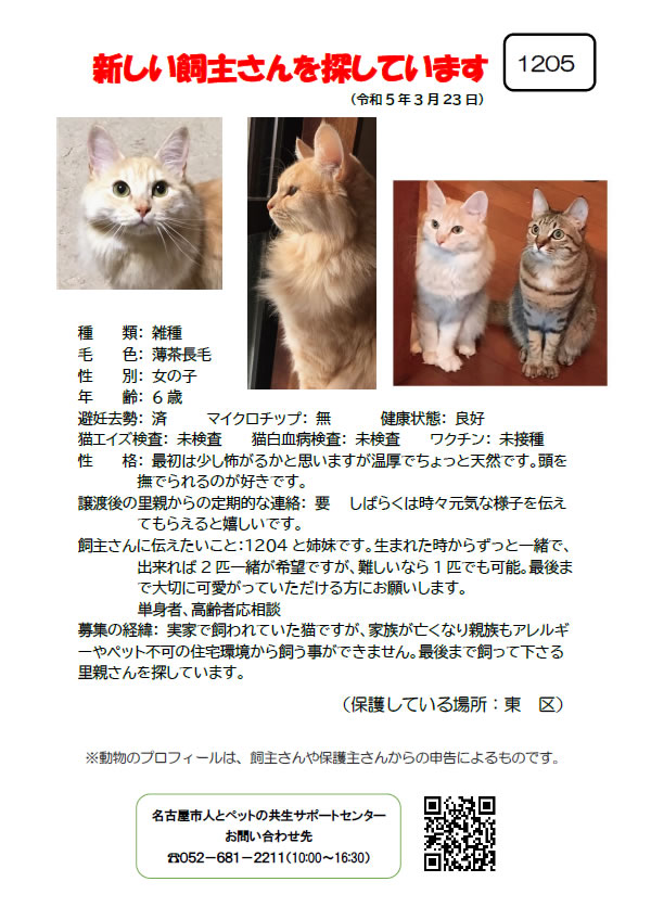 【2】2023年3月23日掲載