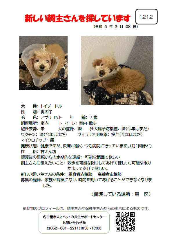 【2】2023年3月28日掲載