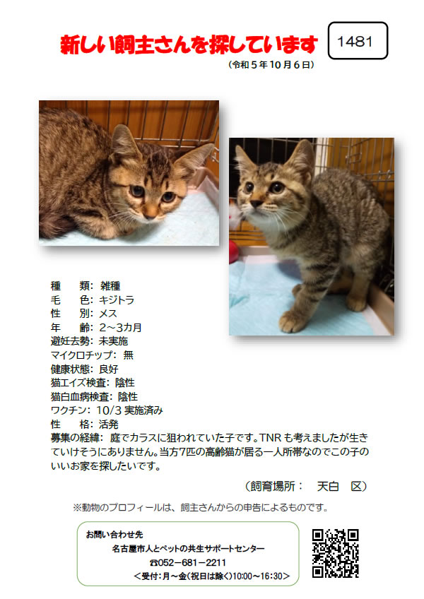 【5】2023年10月6日掲載