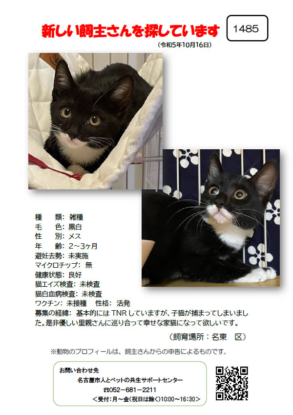 【2】2023年10月16日掲載