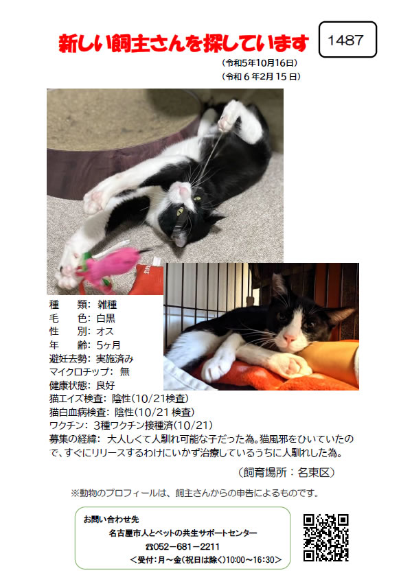 【4】2023年10月16日掲載