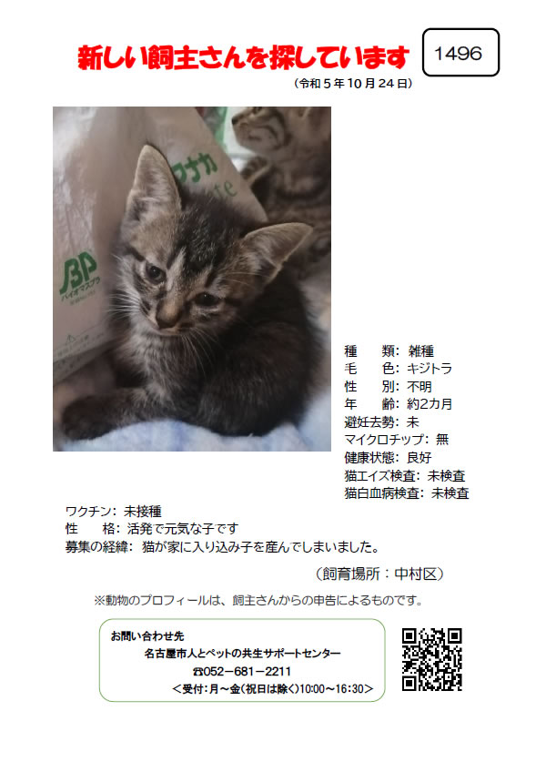 【3】2023年10月24日掲載