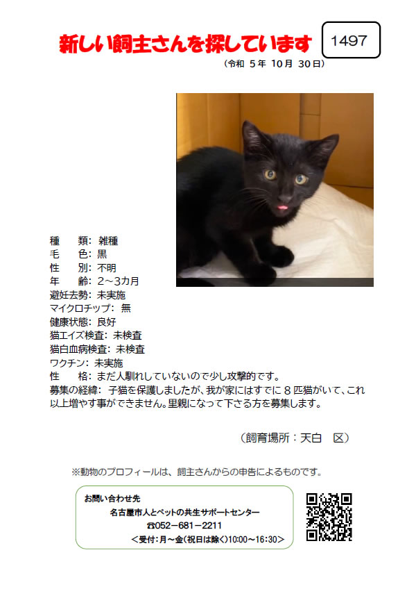 【1】2023年10月30日掲載