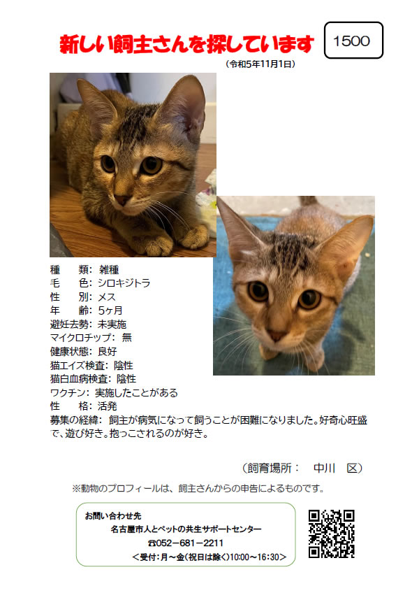 【2】2023年11月1日掲載