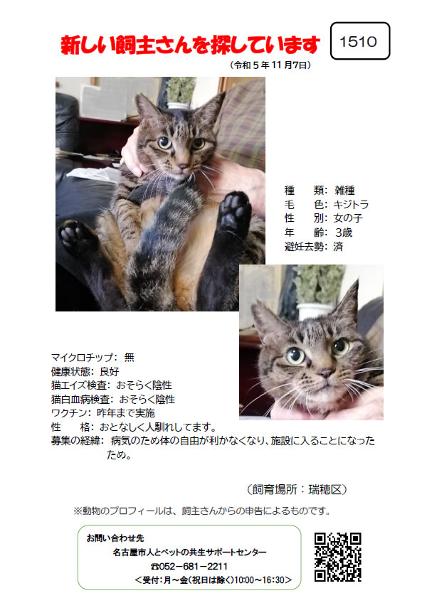 【6】2023年11月7日掲載