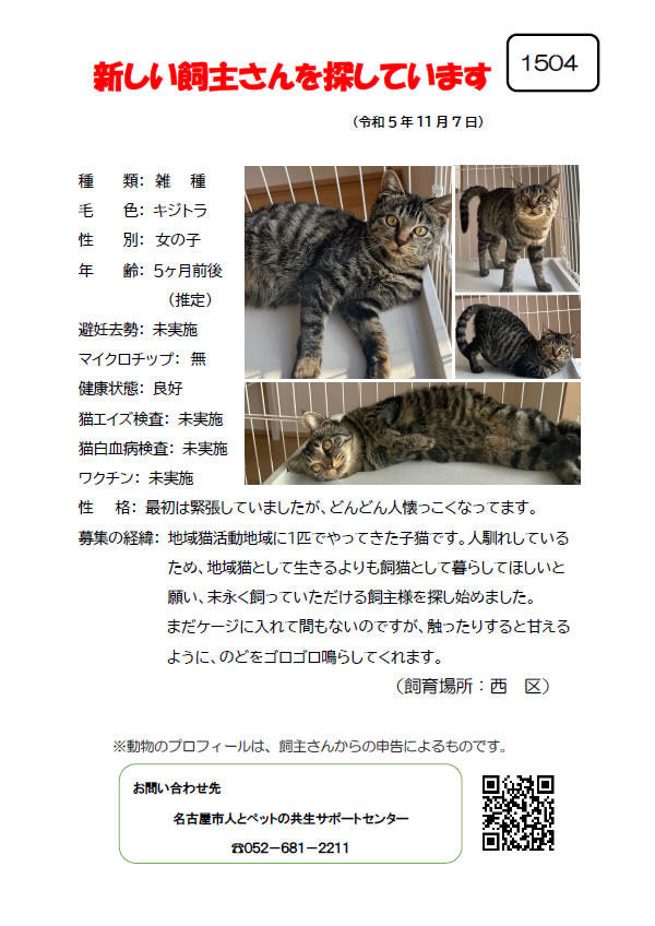 【7】2023年11月7日掲載