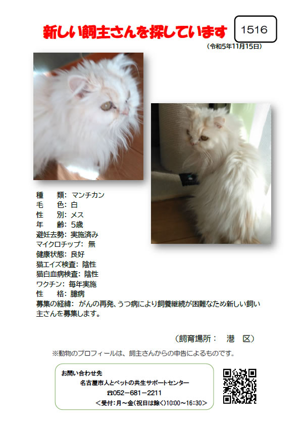 【1】2023年11月15日掲載