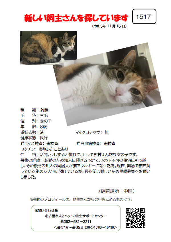 【1】2023年11月16日掲載